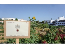  | ΤΗ ΒΙΩΣΙΜΗ ΦΙΛΟΞΕΝΙΑ - METAXA HOSPITALITY GROUP