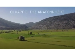  | ΤΗ ΒΙΩΣΙΜΗ ΦΙΛΟΞΕΝΙΑ - METAXA HOSPITALITY GROUP